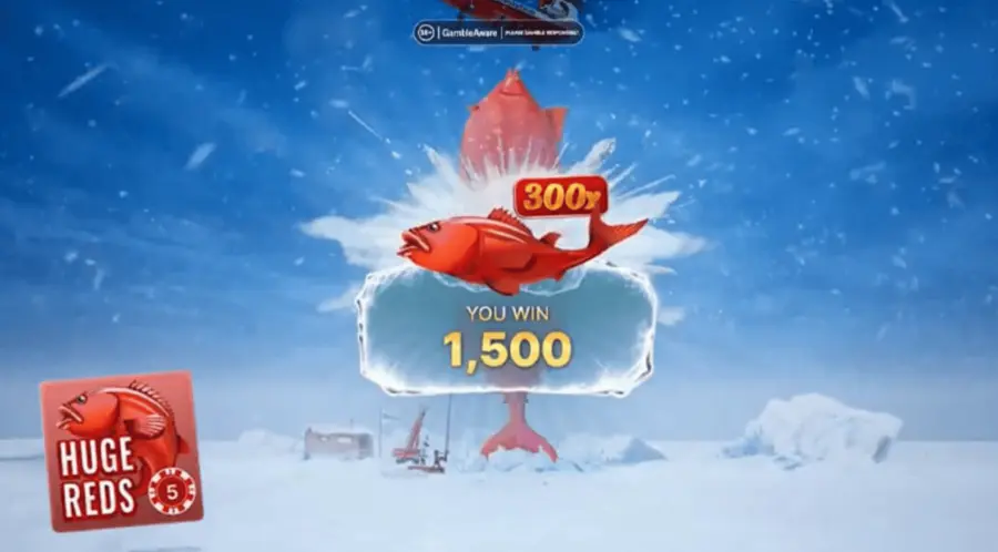 Ice fishing avis